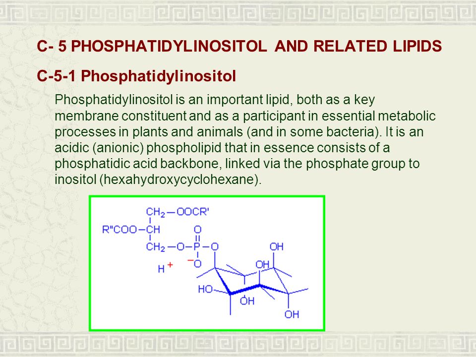 The importance of phosphates in the metabolism of plants and animals